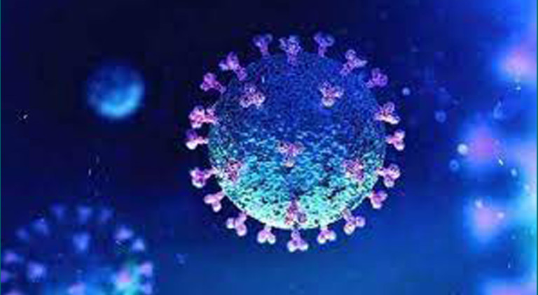 Read more about the article بھارت میں گزشتہ 24 گھنٹوں کے دوران کورونا وائرس کے 1088 نئے کیس،24 اموات ریکارڈ