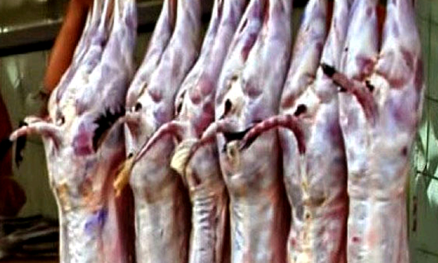 Read more about the article شہر قائد میں بکرے کے فی کلو گوشت کی قیمت 1700 روپے مقرر