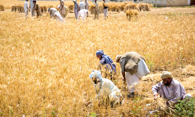 ملتان: کسان اتحاد کا زرعی ٹیکس کے خلاف احتجاج کا اعلان